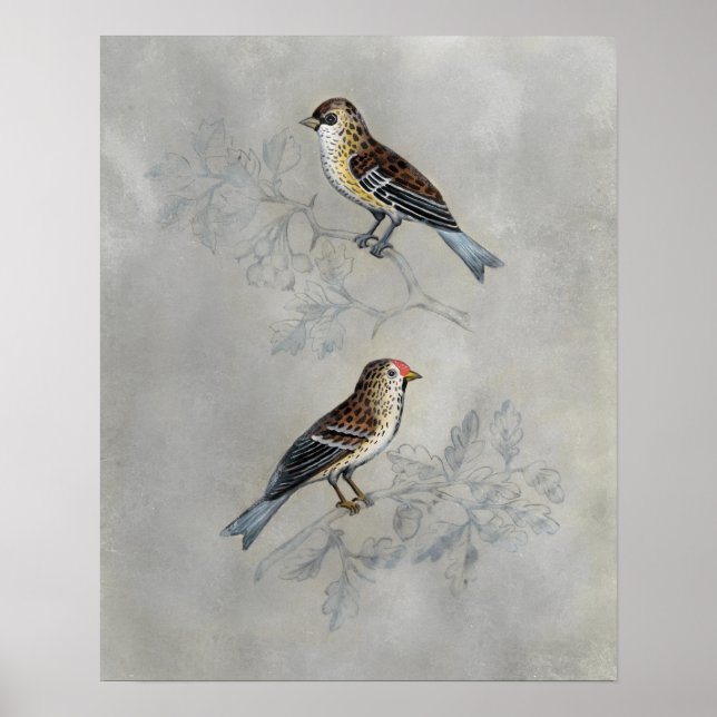 Poster Argent | Deux oiseaux (Devant)