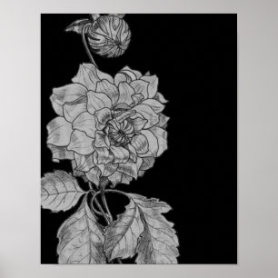 Poster Argent Peony Flower sur l'affiche d'art Floral noi