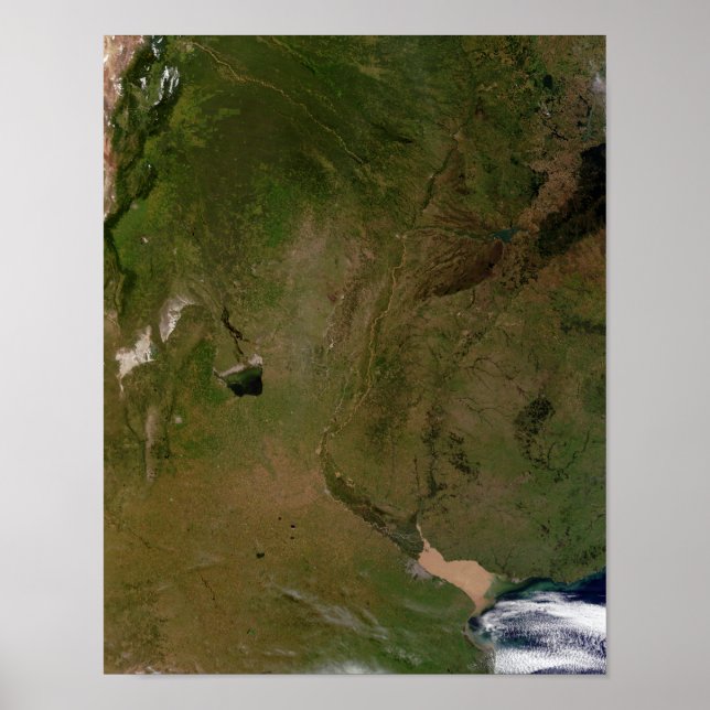 Poster Argentine (Devant)