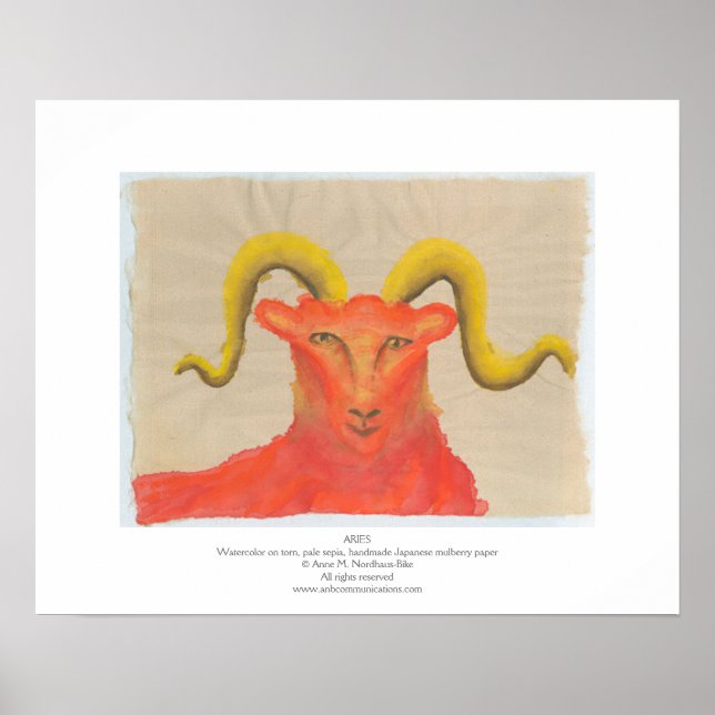 Poster Aries (Devant)