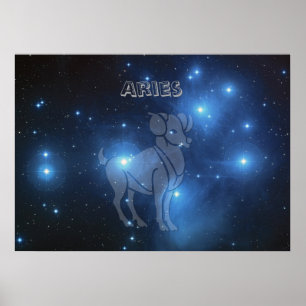 Poster Aries transparentes