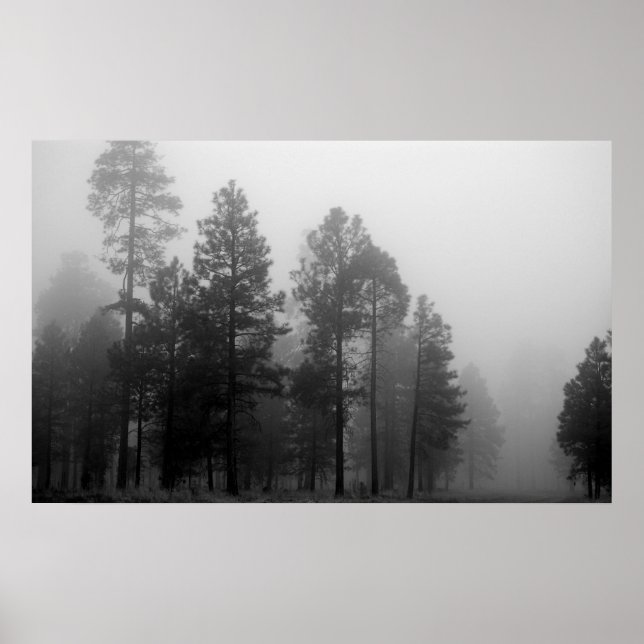 Poster Arizona Fog (Devant)