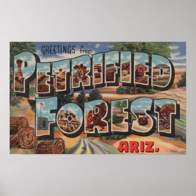 Poster Arizona - Forêt pétrifiée - Grande Lettre (Devant)