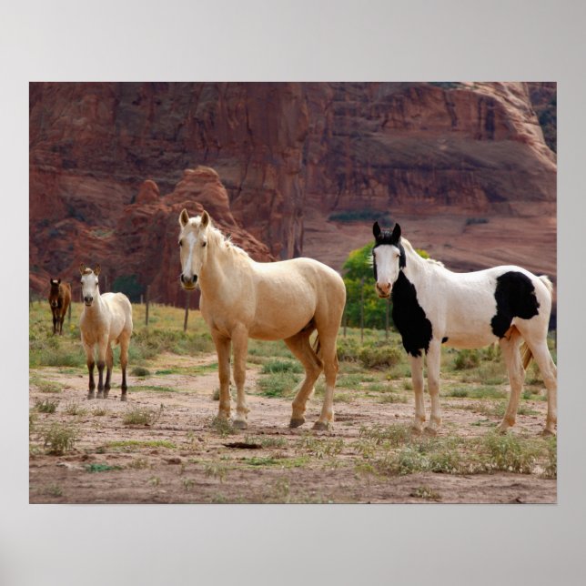 Poster Arizona, Navajo réserve indienne, Chinle, (Devant)