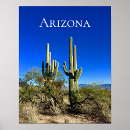 Poster Arizona Saguaro Cactus Désert