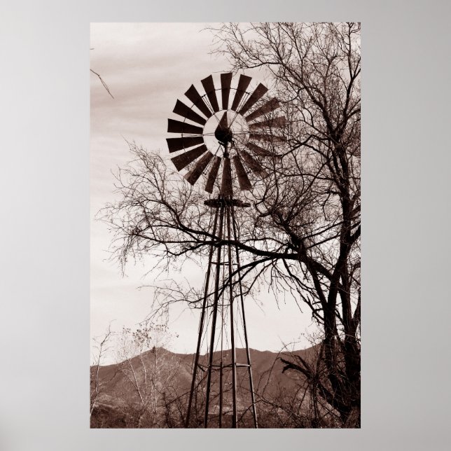 Poster Arizona Windmill (Devant)