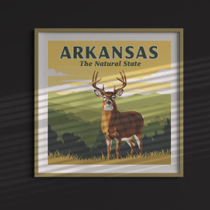 Poster Arkansas vintage