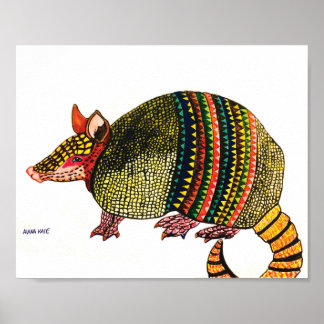 Poster Armadillo