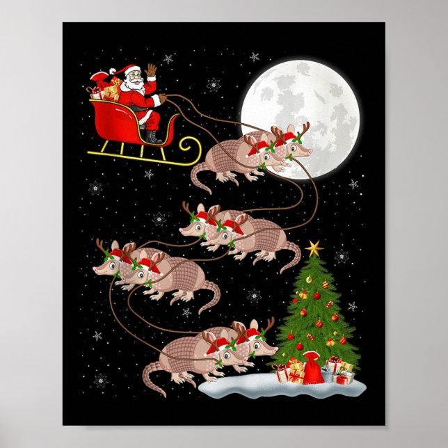 Poster Armadillo Santa Sleigh Flying Funny Magical Christ (Devant)