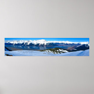 Poster Arme de reprise - Cook Inlet, Alaska