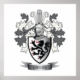Poster Armoiries de la famille Owens Crest