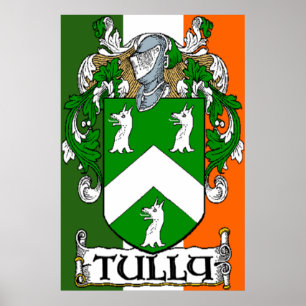Poster Armoiries de Tully Drapeau irlandais