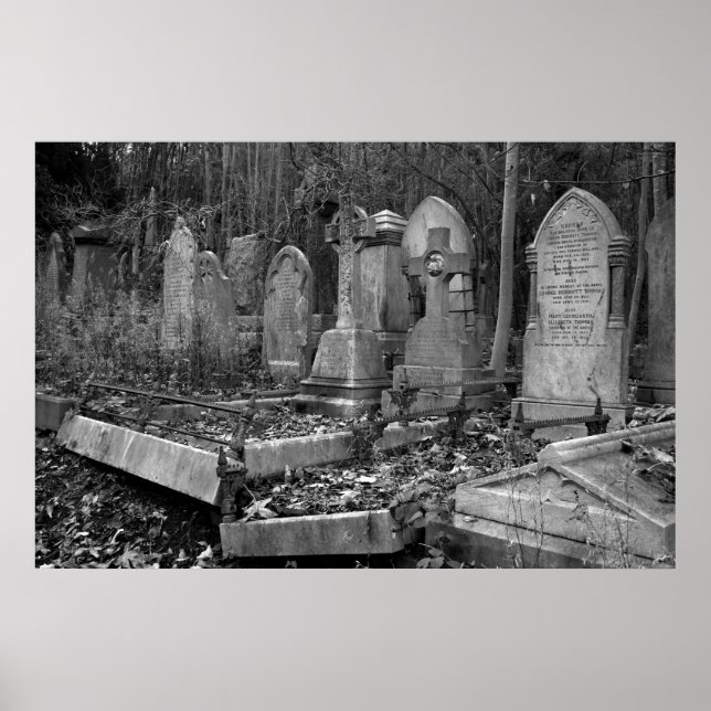 Poster ArnosVale4 (Devant)