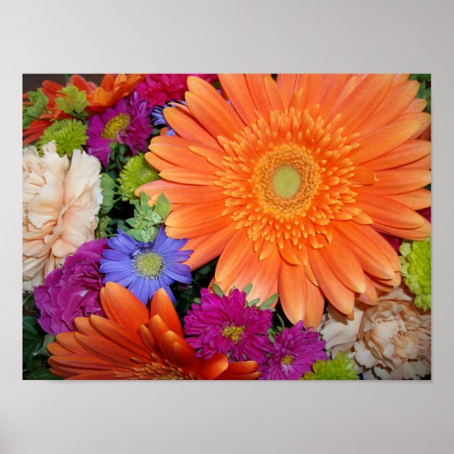 Poster Arrangement Gerber Daisy (Devant)