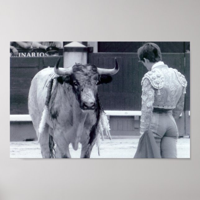 Poster Arrêt de la bagarre (Devant)