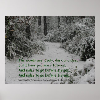 Poster Arrêt par Woods Snow