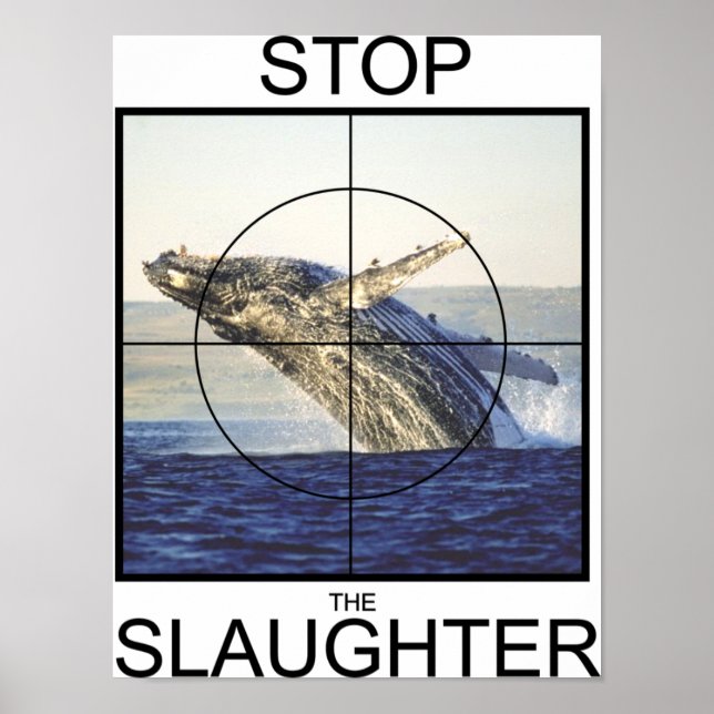 Poster Arrêter l'abattage des baleines (Devant)