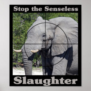Poster Arrêter l'abattage-éléphant