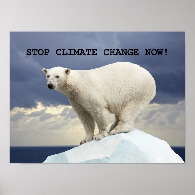 Poster ARRÊTEZ LE CHANGEMENT CLIMATIQUE MAINTENANT ! Ours (Devant)