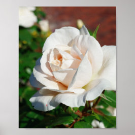 Poster arrière - plan beige rose