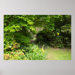 Poster Arrière - plan de jardin