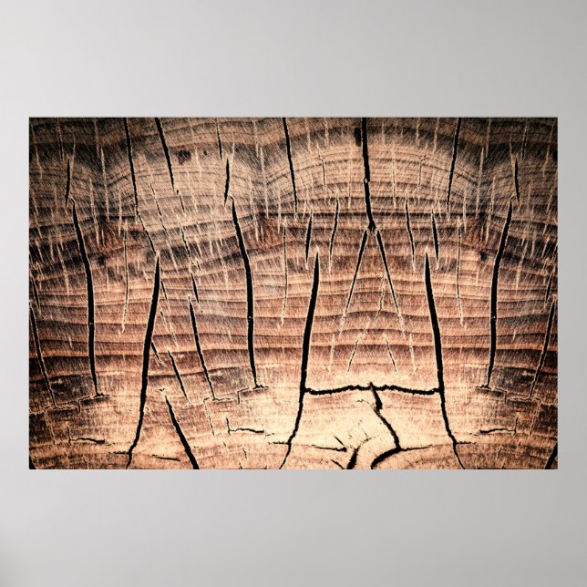 Poster arrière - plan d'un stumpabstract en bois, âge, vi (Devant)