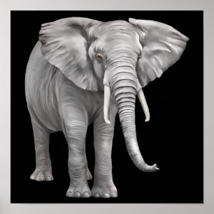 Poster arrière - plan éléphant réaliste