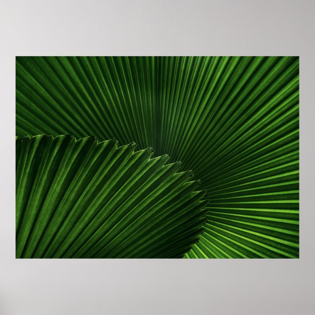 Poster Arrière - plan feuille (Devant)