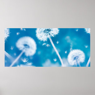 Poster Arrière - plan floral naturel été. Poudlées blanch