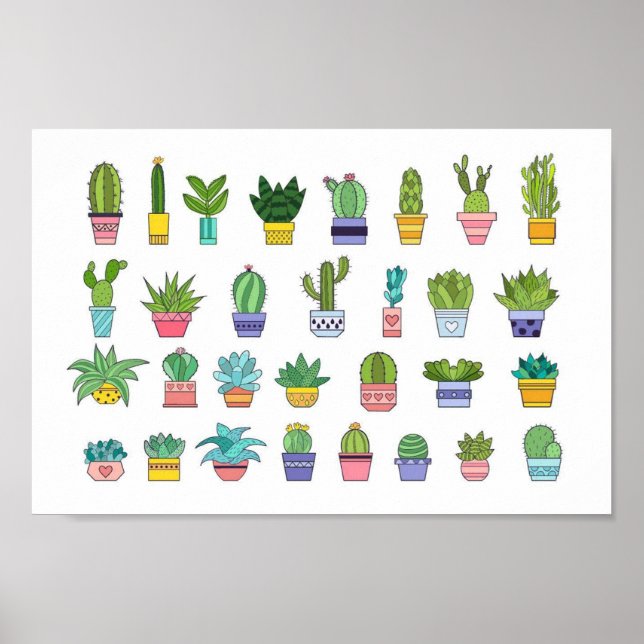 Poster Arrière - plan plante Cactus (Devant)