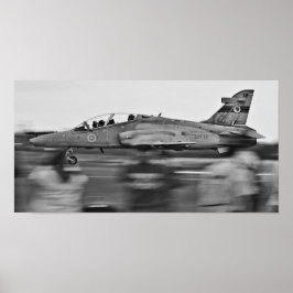 Poster Arrivée Sur Terre