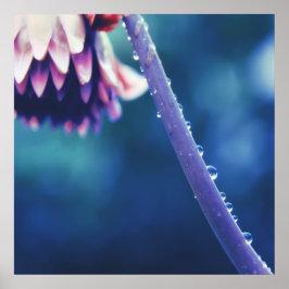 Poster Arrosage Abstrait sur la macro de tige de fleur