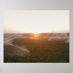 Poster Arrosage agricole de système d'irrigation