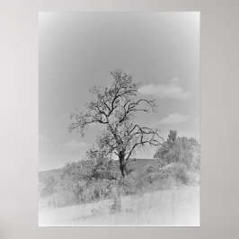 POSTER ART AND DESIGIGN STYLES