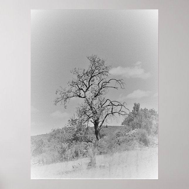 POSTER ART AND DESIGIGN STYLES (Vorne)