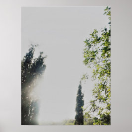 POSTER ART AND DESIGIGN STYLES