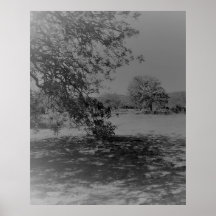 POSTER ART AND DESIGIGN STYLES