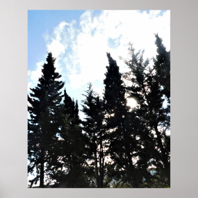 POSTER ART AND DESIGIGN STYLES (Vorne)