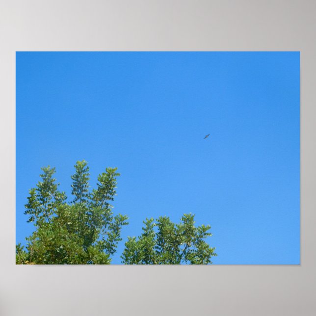 POSTER ART AND DESIGIGN STYLES (Vorne)