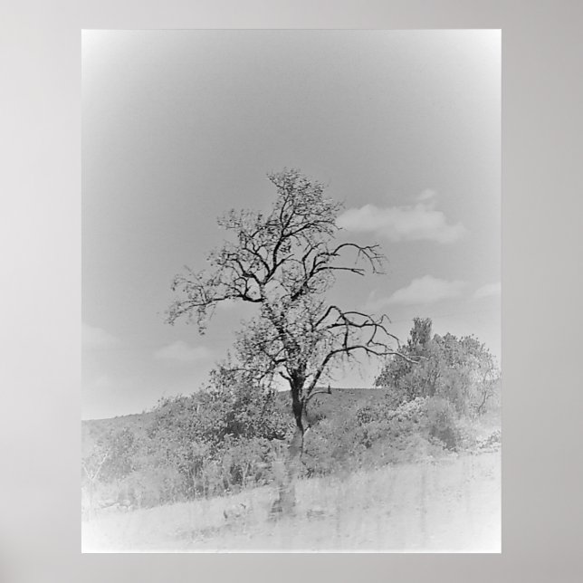 POSTER ART AND DESIGIGN STYLES (Vorne)