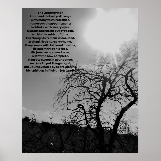 POSTER ART AND DESIGIGN STYLES (Vorne)