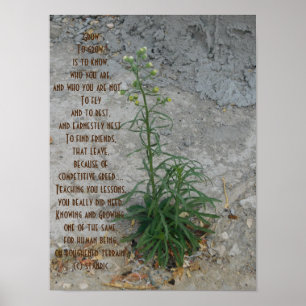 POSTER ART AND DESIGN STIL