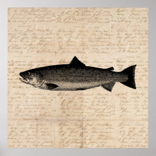 Poster Art antique Pêche truite Poisson Illustration Scri
