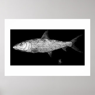 Poster Art Bonefish Scratch