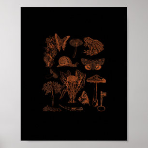 Poster Art botanique, champignons de grenouille, esthétiq