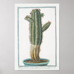 Poster Art botanique d'affiche de cactus vintage (8"