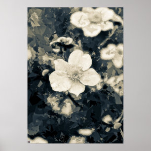 Poster Art botanique de la fleur d'anémone lunatique
