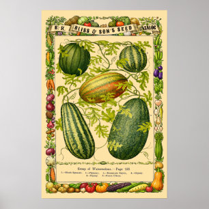 Poster Art botanique de l'ère victorienne rétro de pastèq