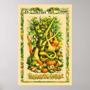 Poster Art botanique rétro de l'ère victorienne des gourd
