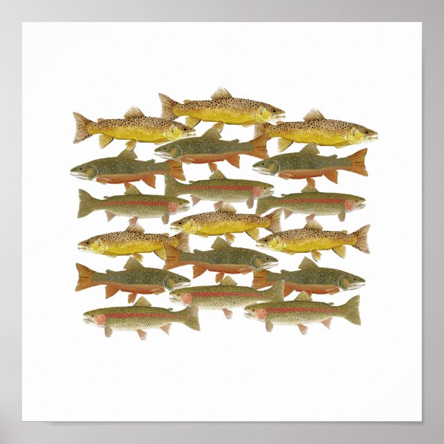 Poster Art commun de la truite (Devant)